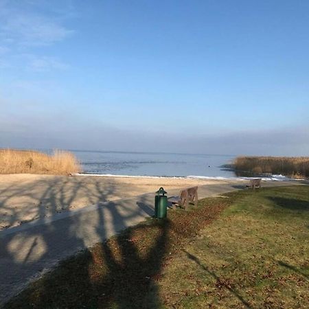 Ferien-Bungalow Im Seebad Ueckermuendeot Bellin Экстерьер фото